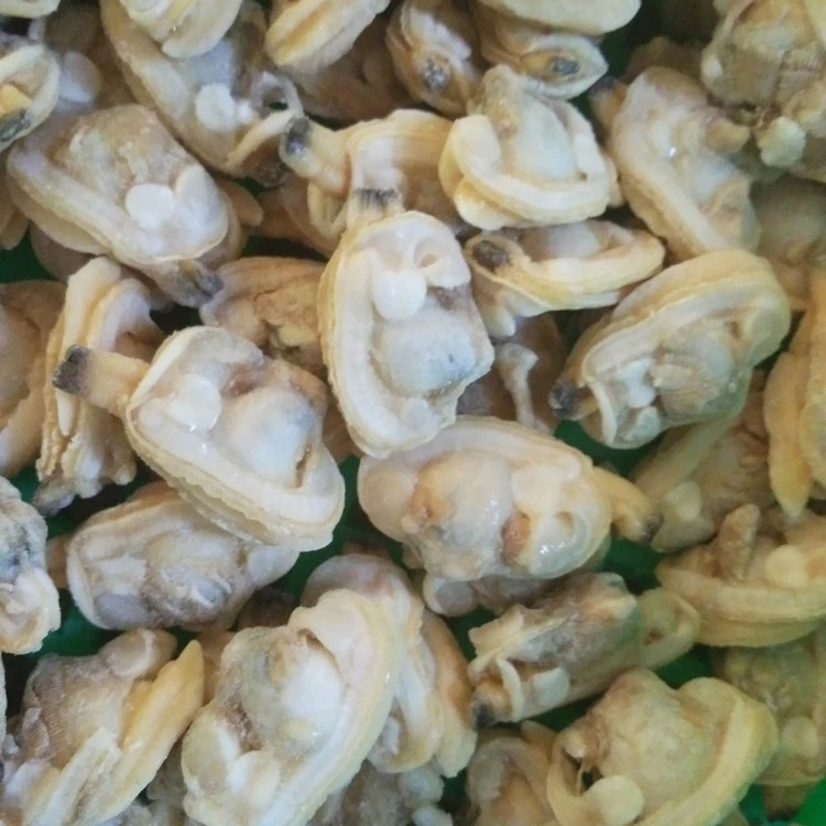 
Frozen Seafood Chinese Trading Companies Clam Meat of Shellfish 