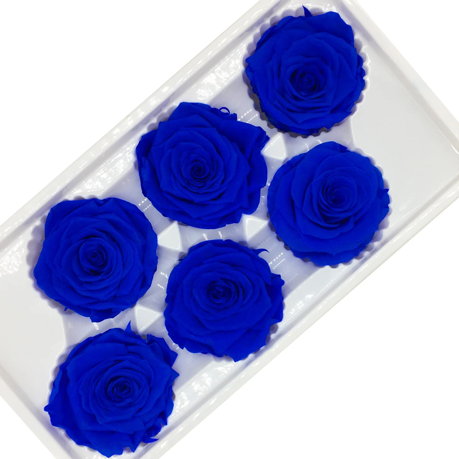 Best quality Yunnan factory Wholesale natural eternal Immortal flower head preserved roses