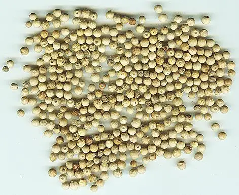 VIETNAM WHITE PEPPER 630 DOUBLE WASHED WHOLESALE HIGH QUALITY BEST PRICE BRC FOOD TOP SUPPLIER HANFIMEX GROUP