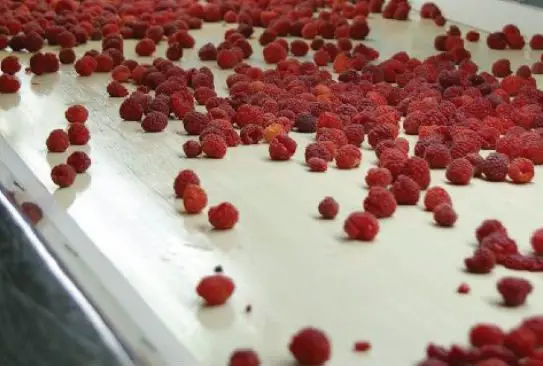 IQF Organic Whole Sweet Raspberries Bulk Frozen with Cube and Ball Patterns Carton Packaging