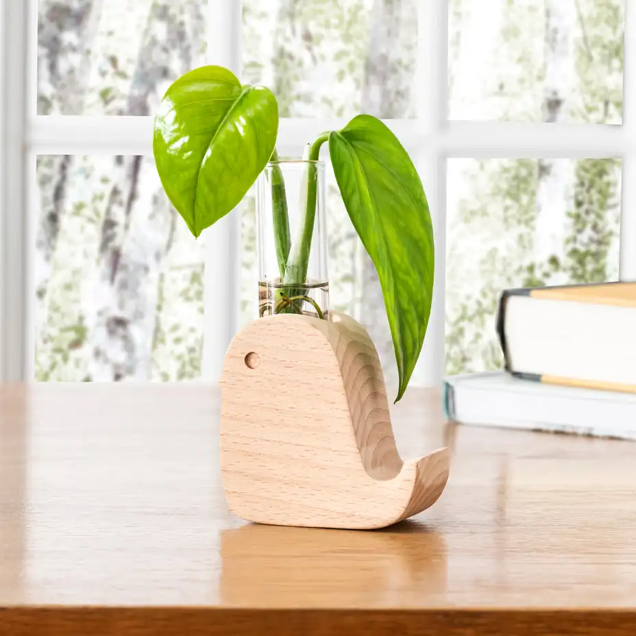 Hydroponic wooden tabletop living room small ornament test tube wooden vase
