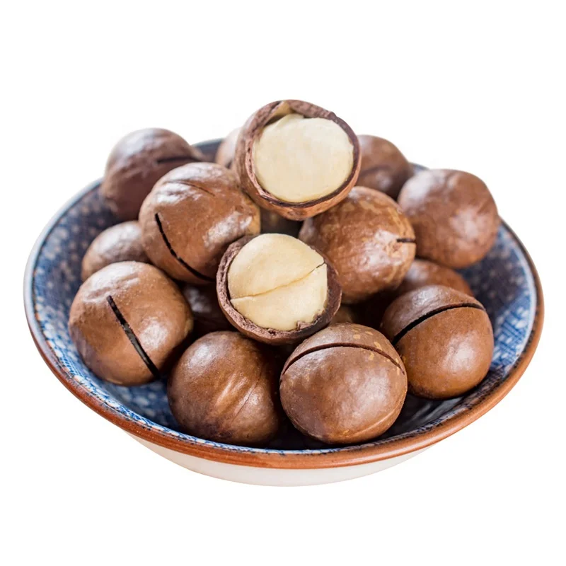 Wholesale price top grade OEM macadamia in shell with customize flavor/ package coffe/ milk flavor