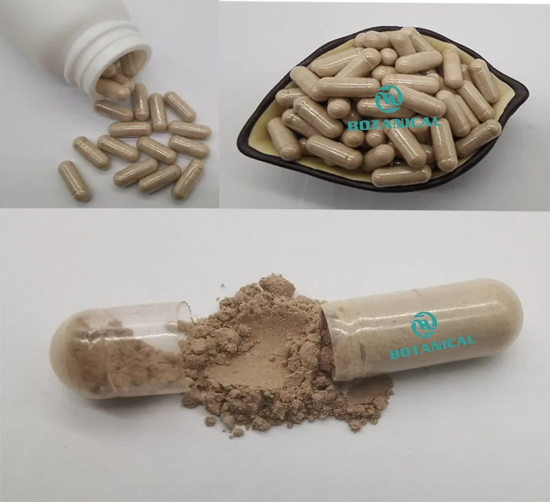 B.C.I ISO Factory 50%~98% Beta-ecdysterone Capsule 500 mg 20-hydroxyecdysone Powder Cas 289-74-7 in Cyanotis Arachnoidea Extract