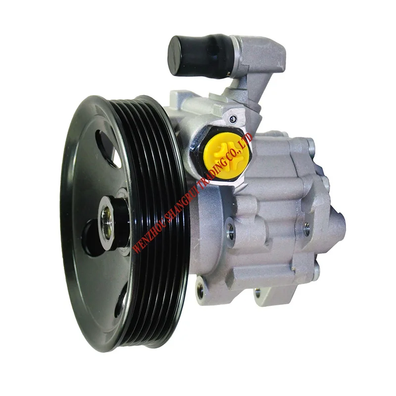 Hydraulic  Power Steering Pump for Mercedes Benz 0024663801