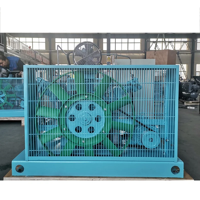 5Nm3/h Hospital Oxygen Booster Compressor for Psa Oxygen Generator