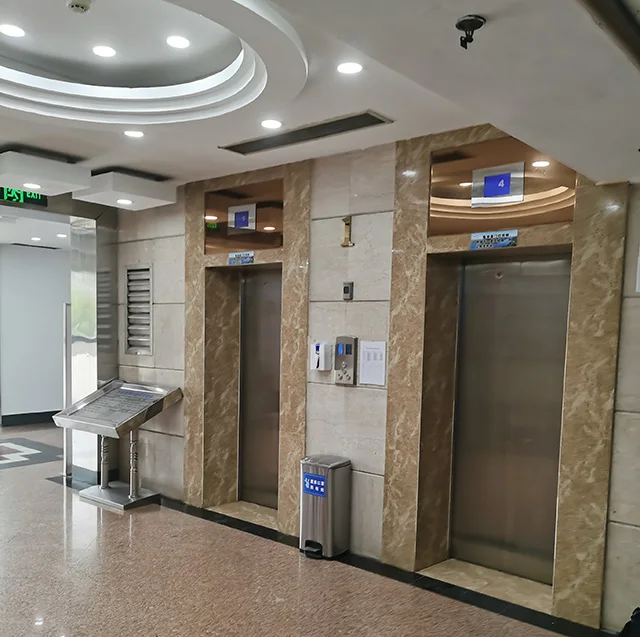 Professional Manufacturer Residential Commercial Passenger Elevator