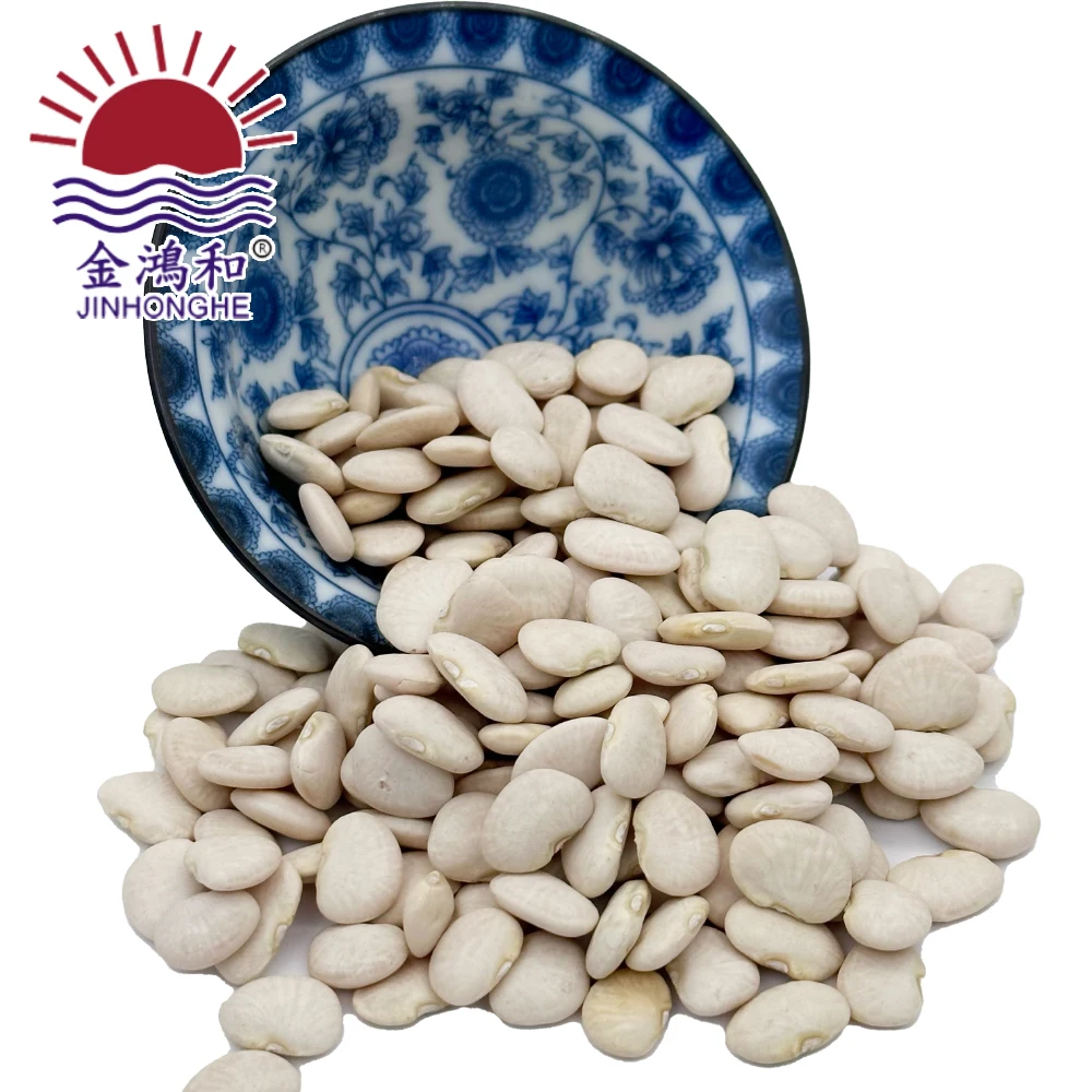 Canavalia ensiformis gladiata butter white kidney bean