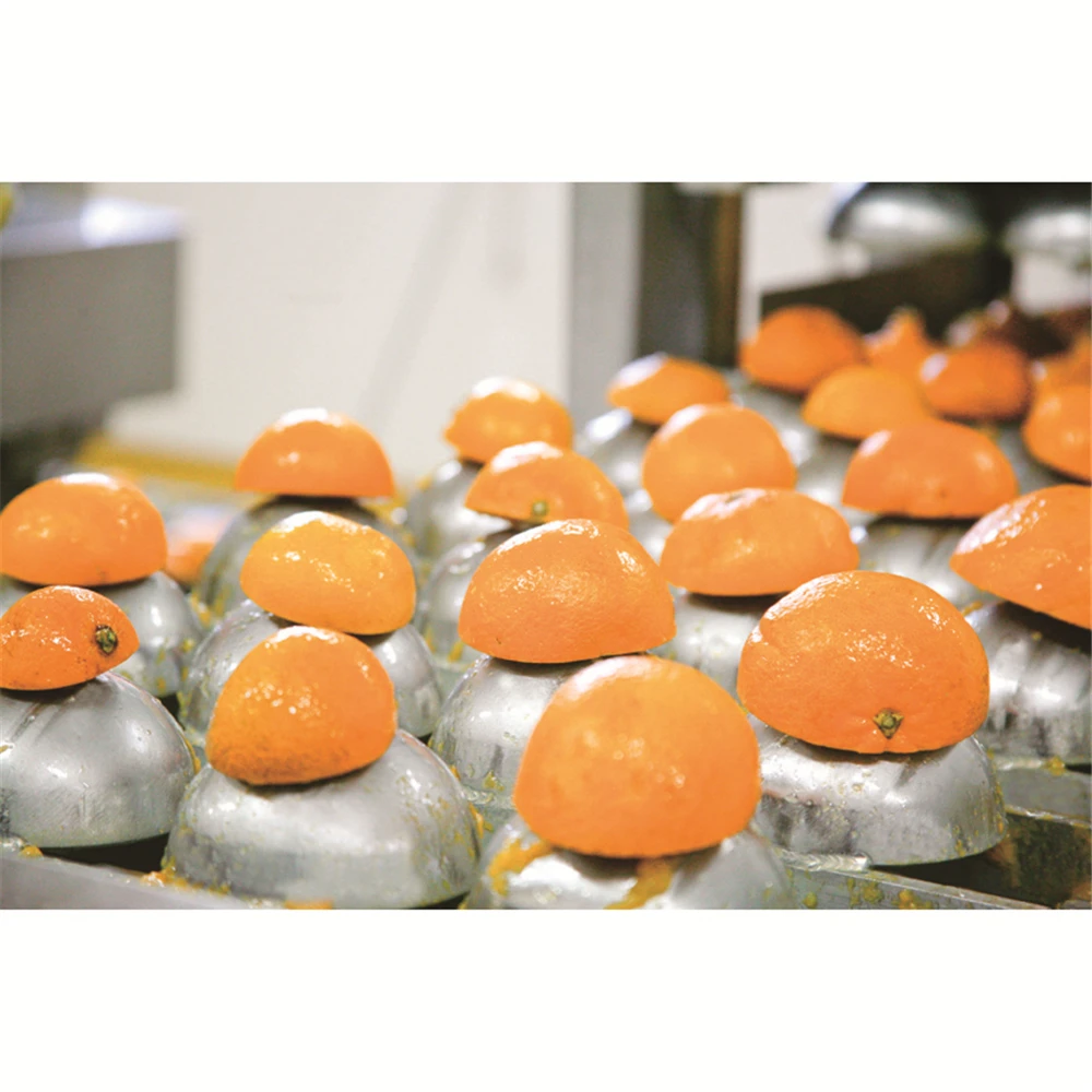 
Japanese fruit juice orange drinks and beverages for wholesale 