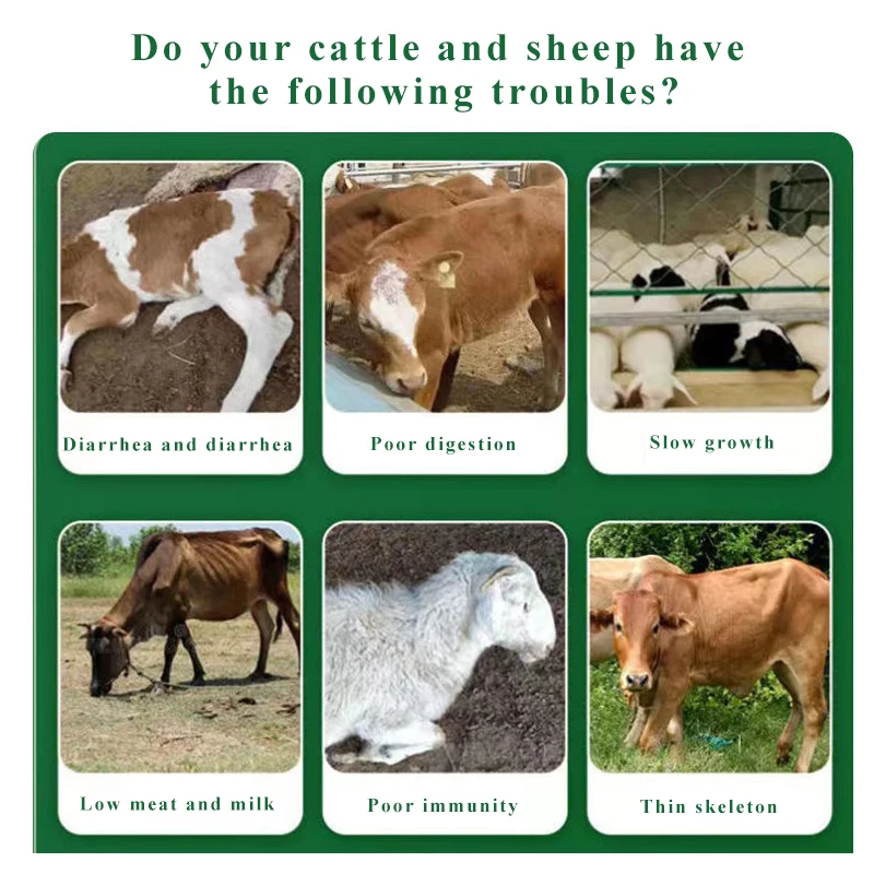 Feed Additive Bacillus Subtilis, Probiotics, Poultry Livestock Animal Feed Pellet Mill For Pigs, Cattle And Sheep Feeds Animal