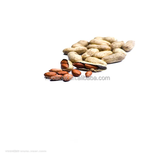 Сушеный жареный арахис, порошок арахис