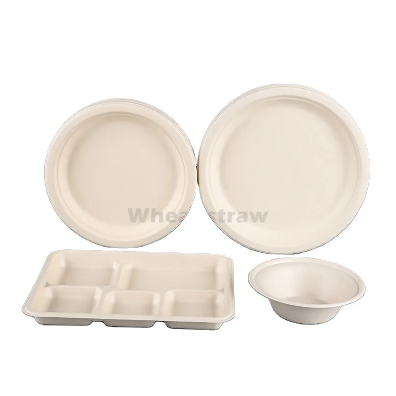 100% Natural 5 Compartment Disposable Sugar Cane Fiber Plates Eco-friendly Square Sugarcane Bagasse Tableware Food Tray