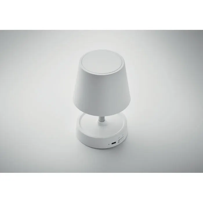 Portable USB Rechargeable LED Desk Lamp Premium Plastic