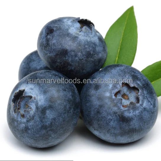 Замороженные Индивидуальные сертификаты на экспорт, оптовый продавец/розничный продавец, свежие замороженные черники