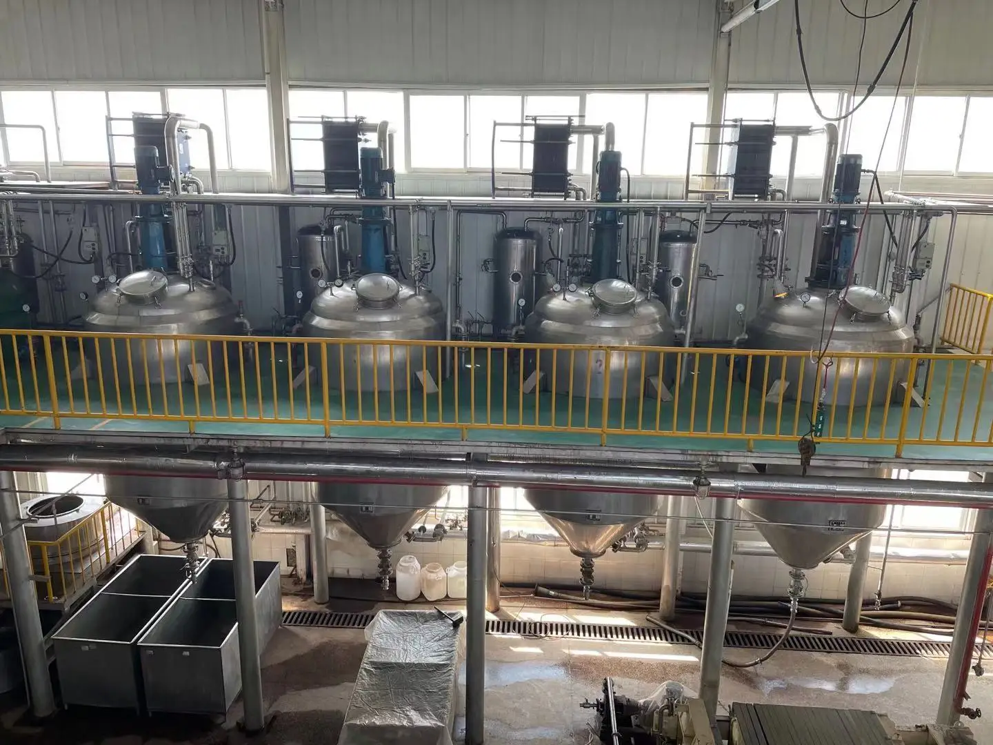 Factory supply polygonum multiflorum extract Fo Ti Root Extract 10:1 100:1 He Shou Wu extract