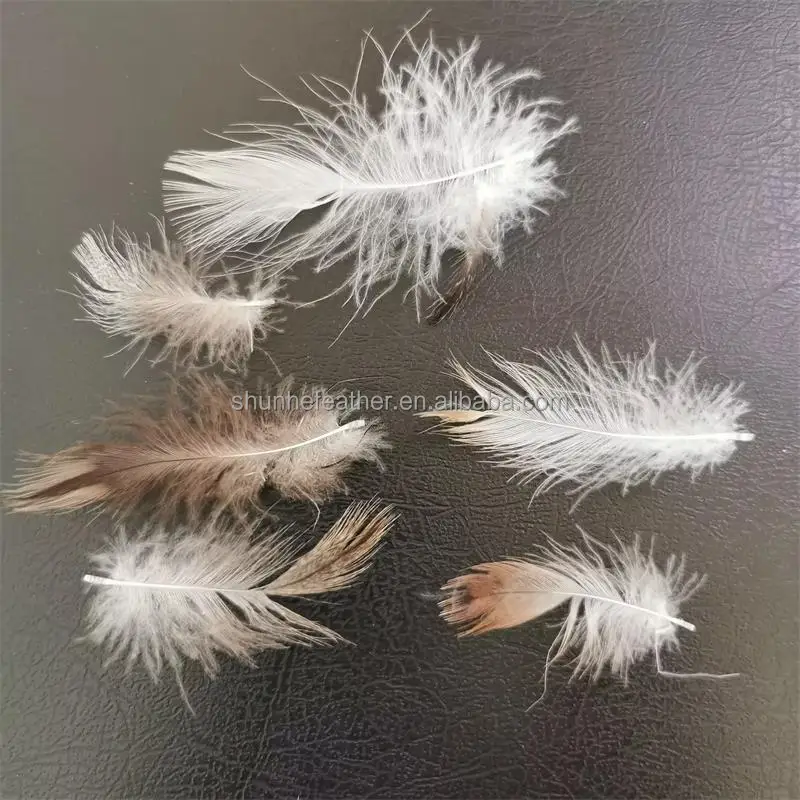 5-8CM Washed Grey Feather IDFL Standard Filling Material