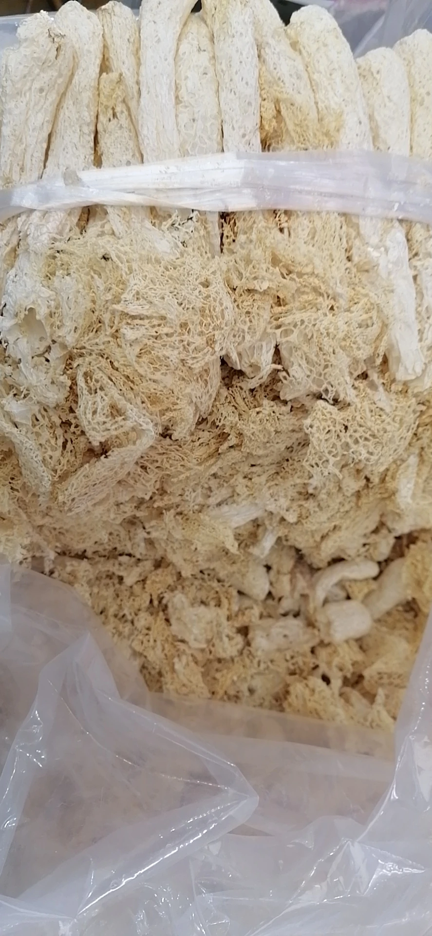 Wholesale raw dried Netted Stinkhorn from Dictyophora duplicate Bosc Fischer mushrooms for sale