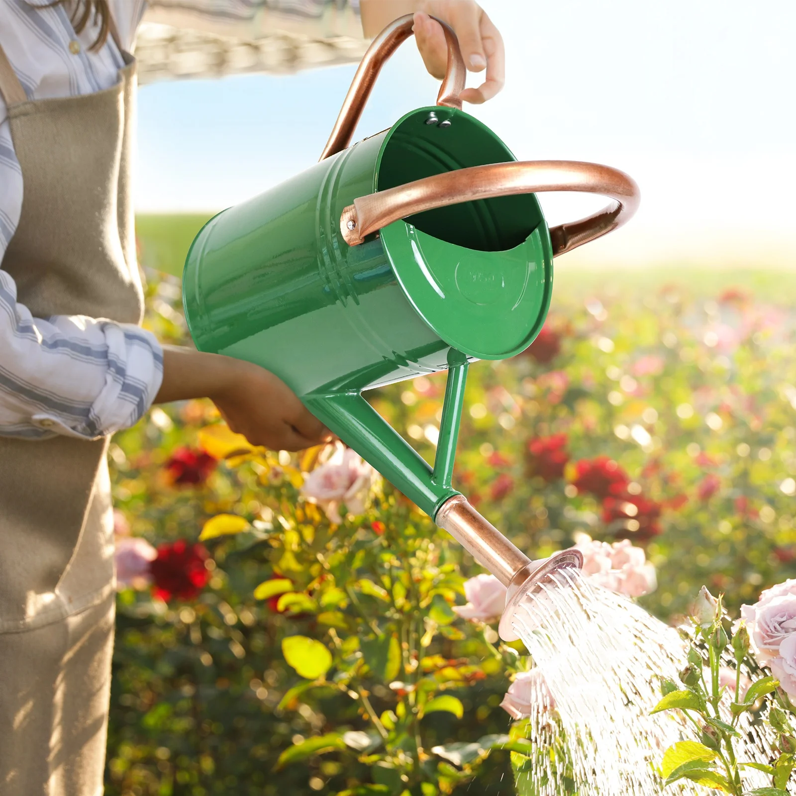 1 Gallon Garden Watering can Galvanized Metal Water cans with Detachable Spout and Nozzle head