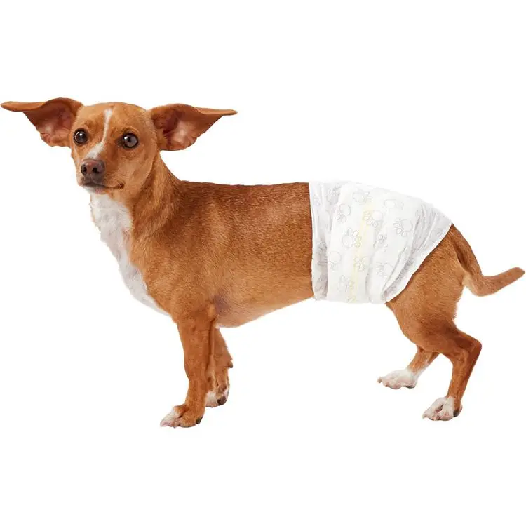 
high quality cheap price waterproof super absorbent disposable dog diaper 