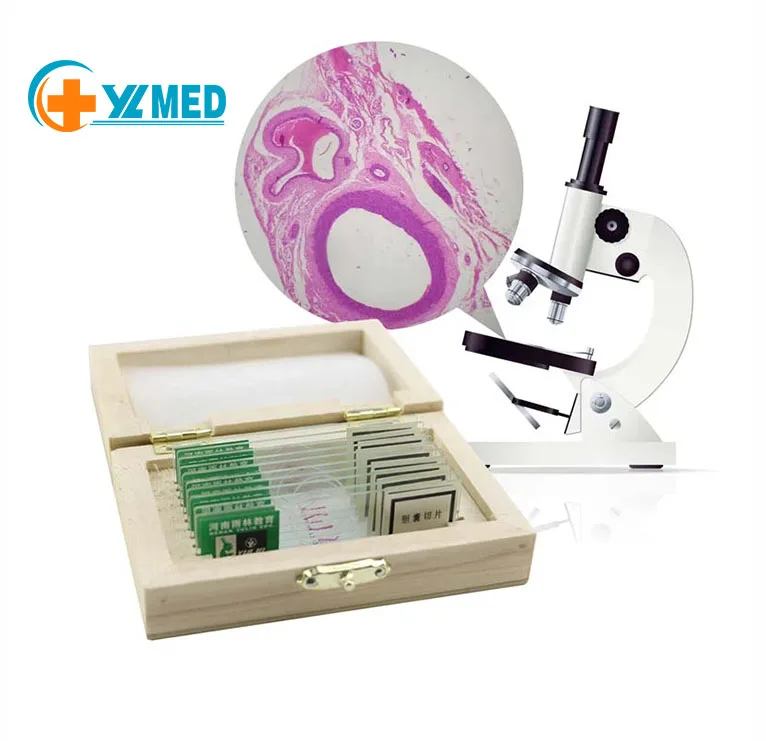 Заводская цена, лабораторные расходные материалы, высокое качество, биомикроскопия слайдов, гистология человека, патология полости рта