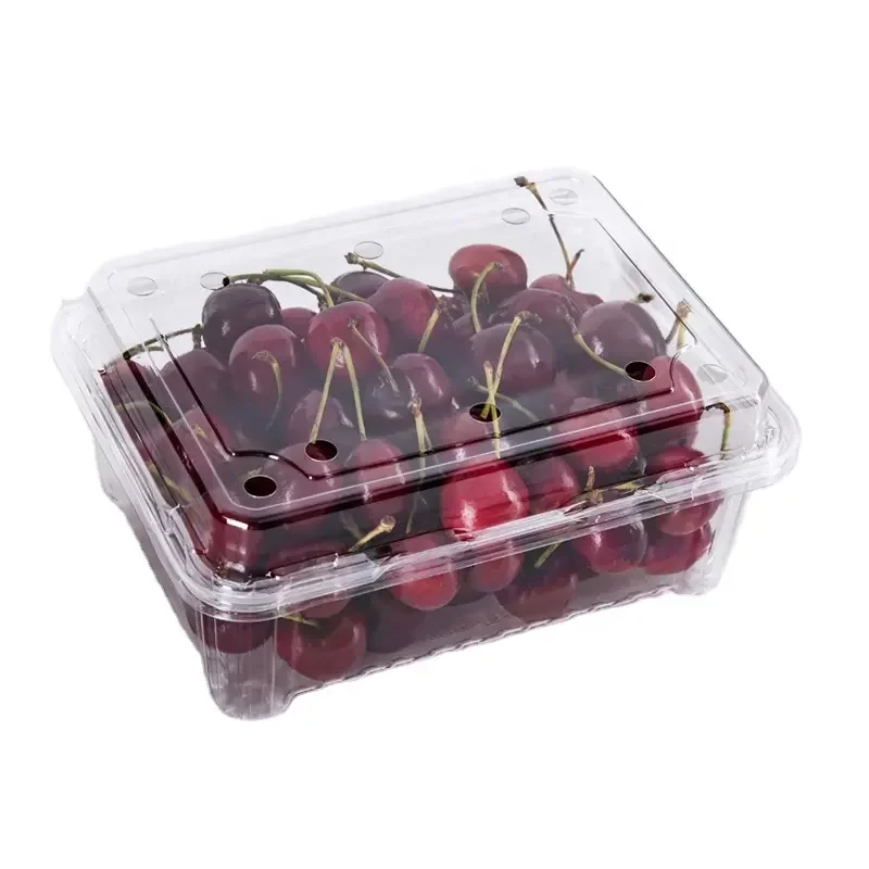 clear Plastic Transparent Container plastic Trays Food Container Box With Lid