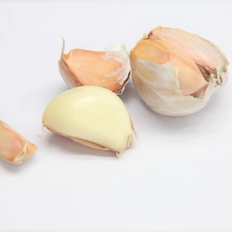 
 Оптовая продажа, белый чеснок, свежий чеснок по хорошей цене  