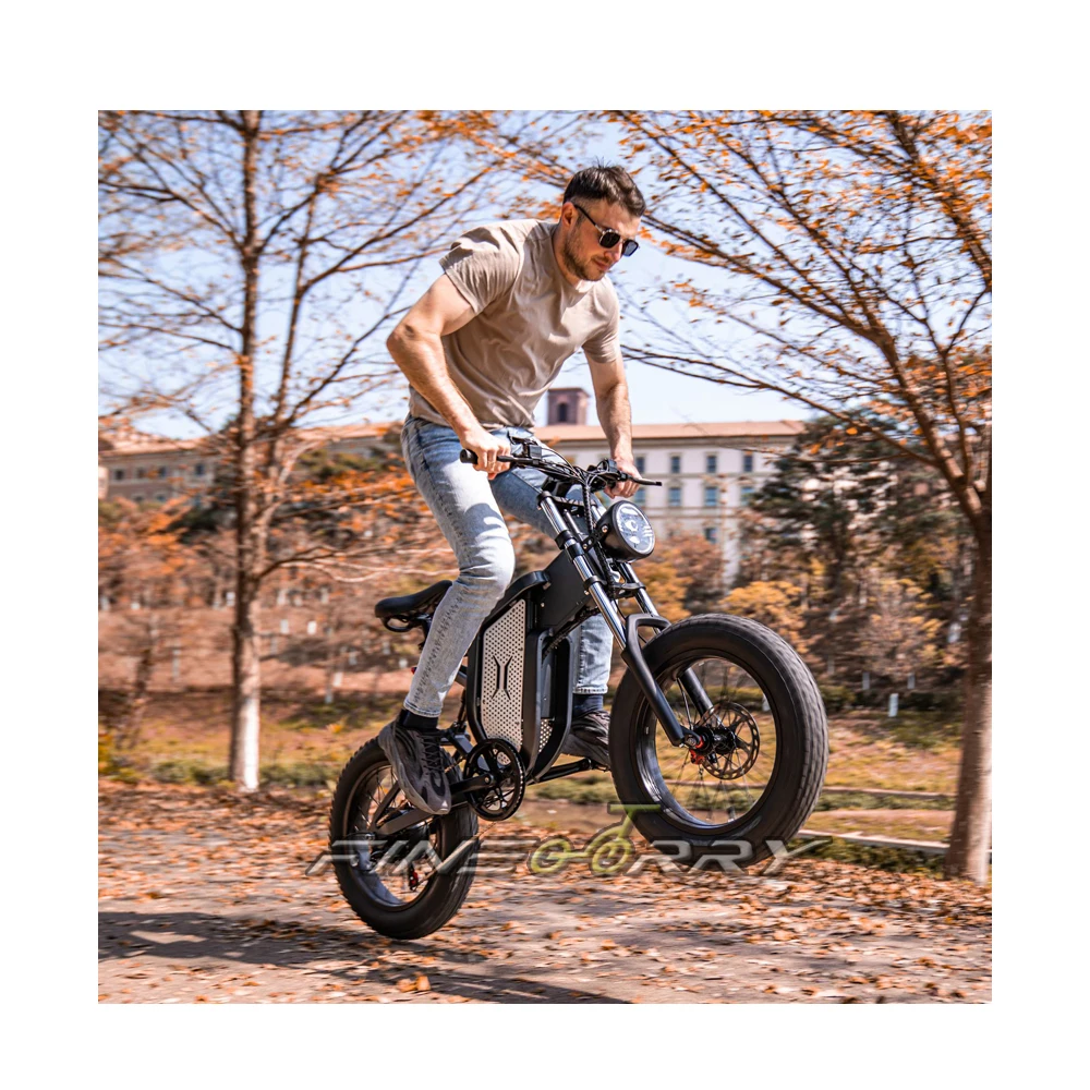 48v 500W 1000 W 1500W  3000W 55 km/h buy sur ron electric dirt bike motorcycle  with CE FCC Rohs EU and US warehouse