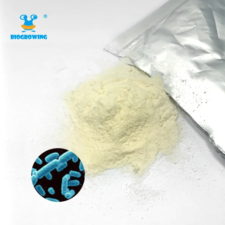 Замороженный пробиотик в порошке, 100 миллиардов Куфу/г, пробиотические бактерии, смесь пробиотиков лактобацилла соливуриума
