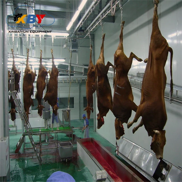 Engineering Complete Cow Slaughterhouse For Processing Line Cattle Horn And Hooves Cutting Saw