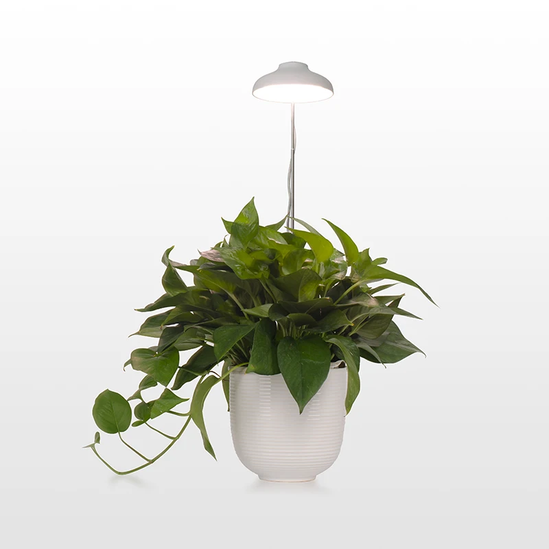 
 LED USB Mini Garden Plastic Metal grow plant lights in pot indoor for plants full spectrum Kids NEW 2020 decorative  