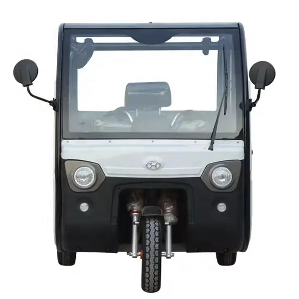 Motorcycle 3-seater Tricycle Affordable enclosed Electric Bicycle for Chinese Adults