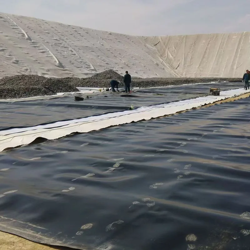 Cheap price factory direct sales quality assurance geodsky geomembrane