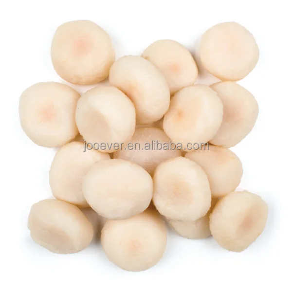 Wholesale IQF Frozen Water Chestnuts Slice Premium Quality ISO & BRC HACCP Approved China Origin Frozen Vegetables