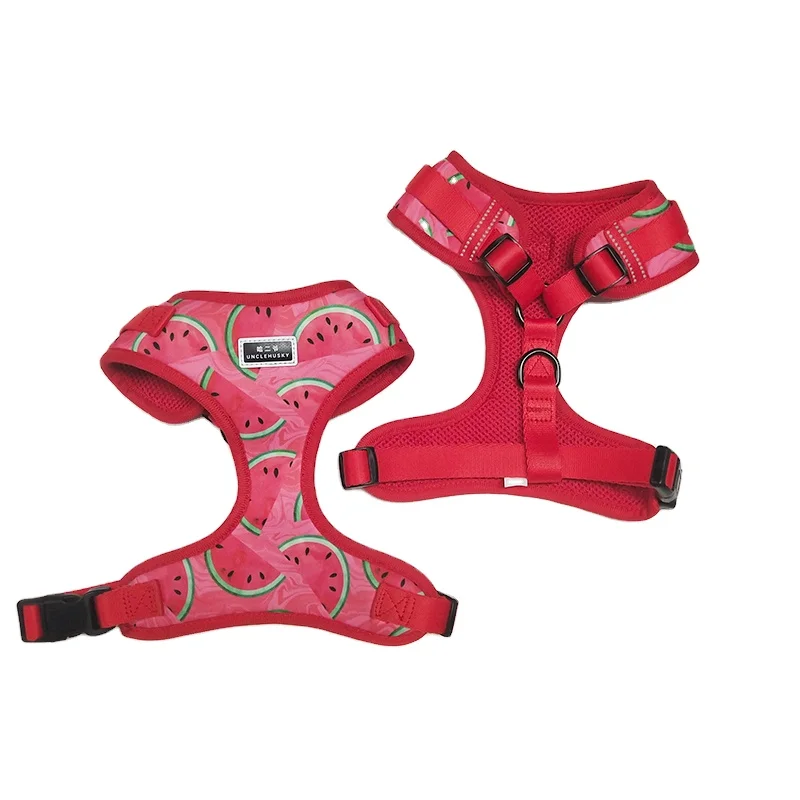 OEM Custom Logo Pattern  Pet Supplies Chest Harness Adjustable Soft Mesh Padded Reversible pet Dog Harness Lead Collar Set