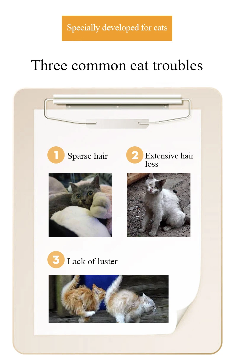 China Dog Treat Supplement Natural Nutrition Pet Supplements Chews And Probiotics