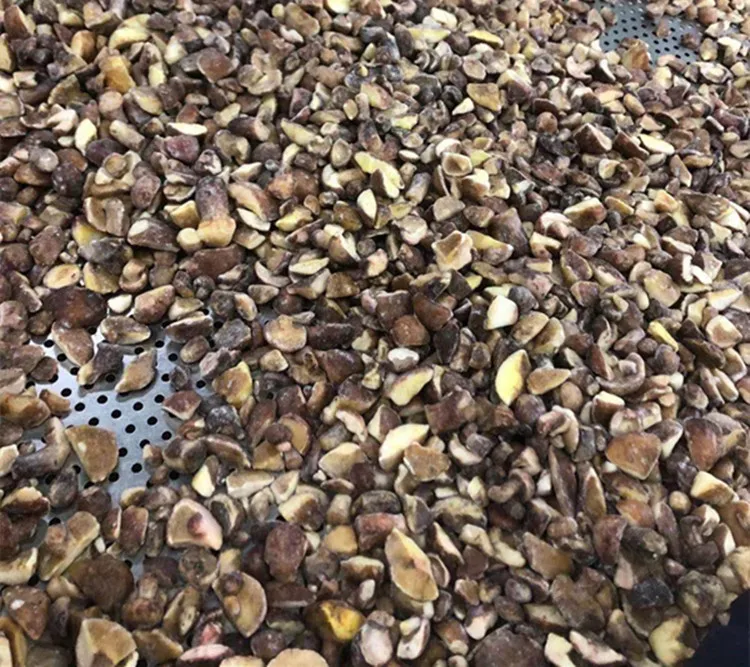 IQF frozen suillus granulatus mushroom Boletus Luteus  frozen Annulated boletus, mixed mushroom frozen nameko oyster  boletus