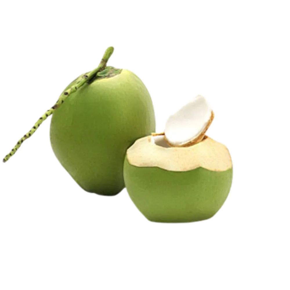 Wholesale Fresh Young Coconut for Drinking and Cooking Premium Quality from Viet Nam Manufacturer
