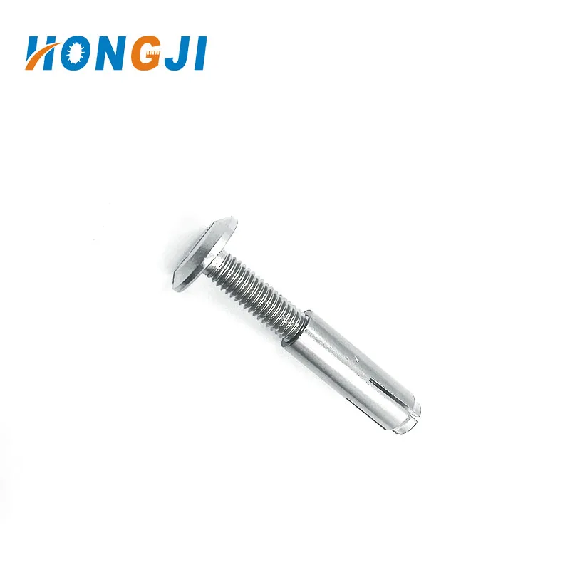 Inch size Stainless steel SS304 drop in anchor with best quality