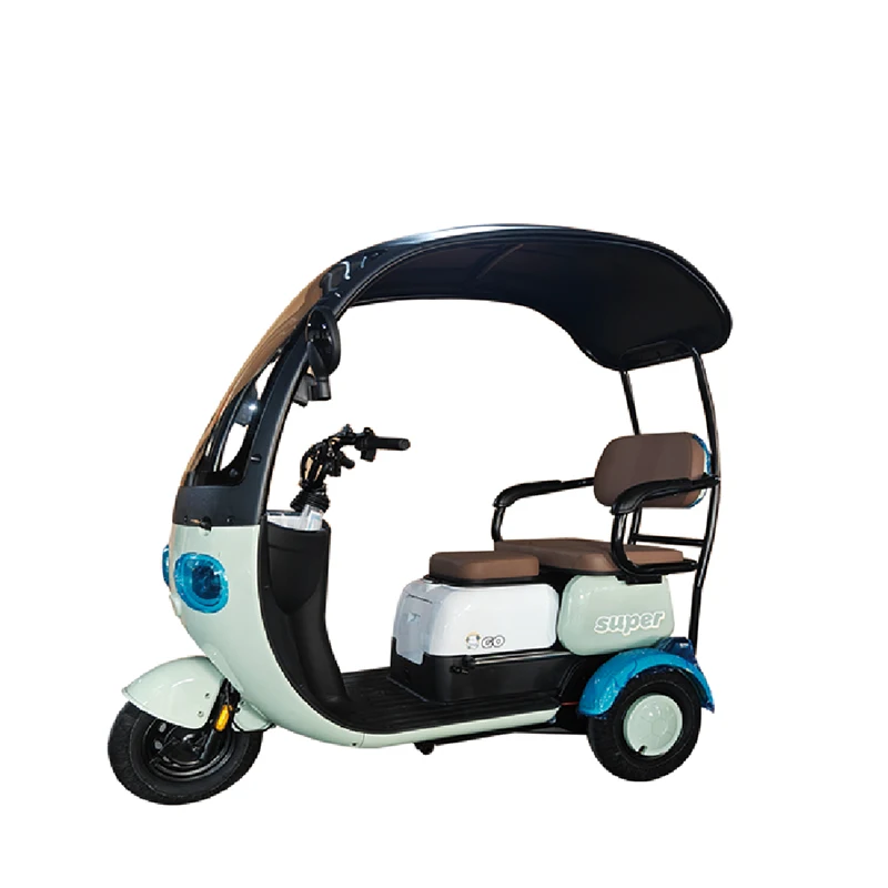 China Cheap Two Seats Adult three Wheel Electric Tricycle bike With Motor for Passenger