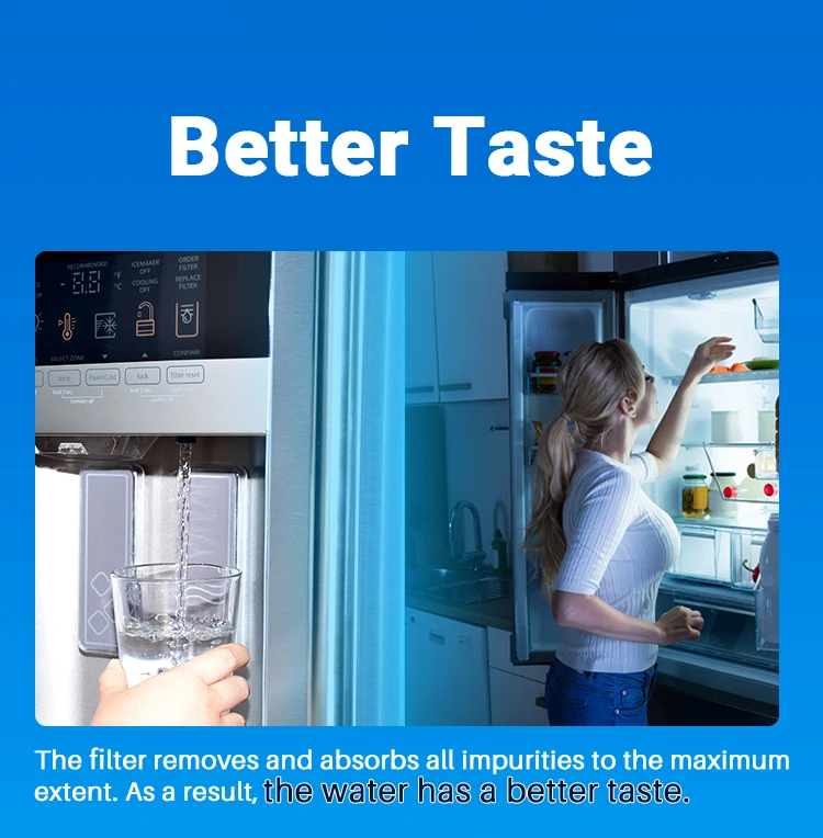 Refrigerator Water Filter compatible with lt1000P_9