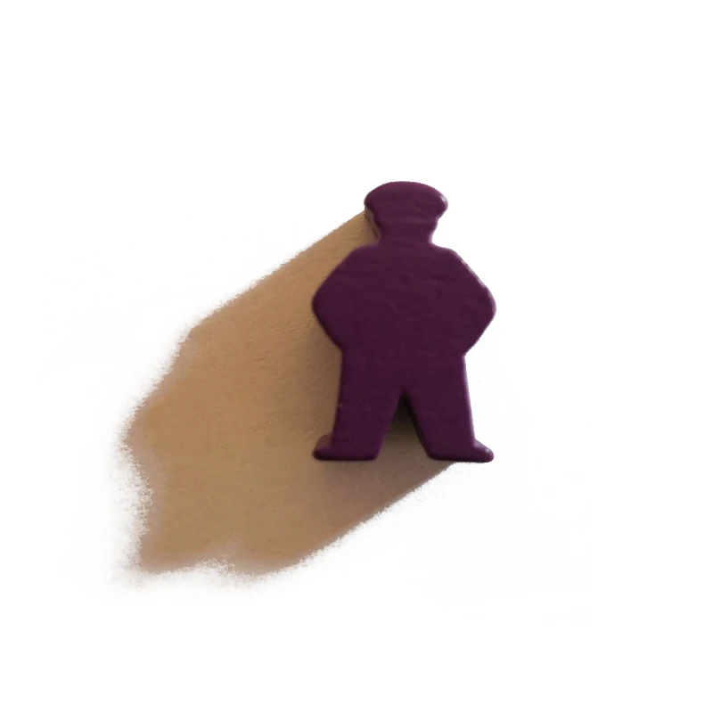 Customize Different Wooden Shape Board Game Accessories