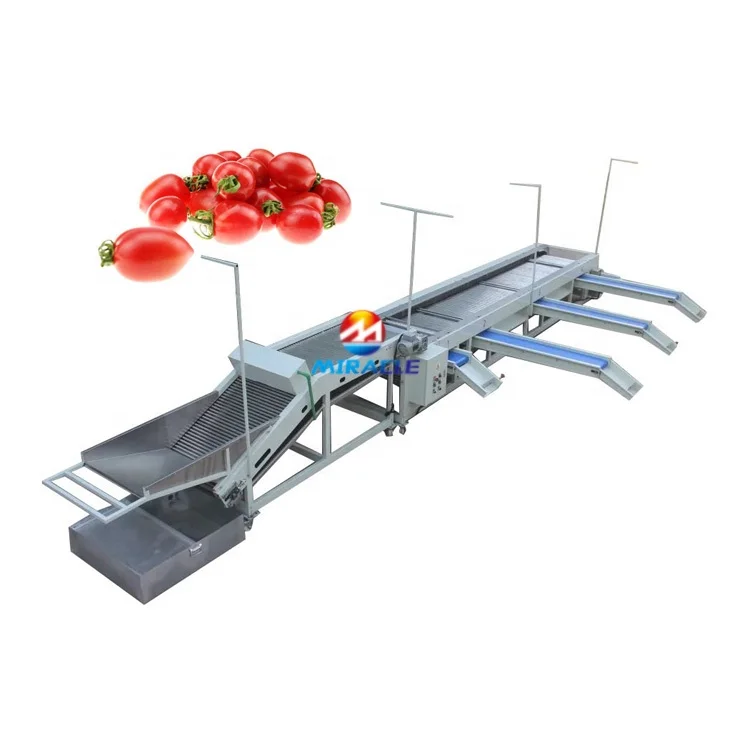 5 grading sweet potato avocado sorting machine tomato sorting machine