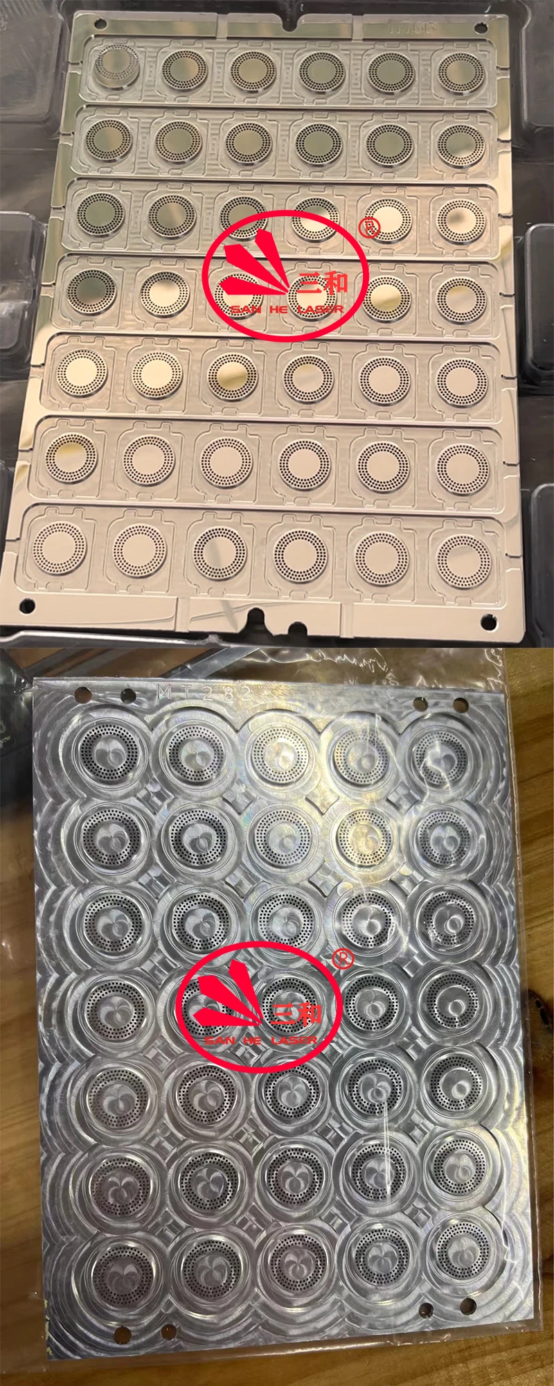 .jpg