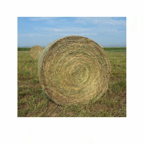 Factory Price Premium Quality Alfalfa Hay for Animal Feeding Stuff Alfafa Bales