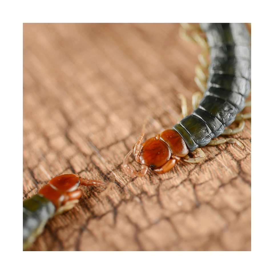 Eco Fresh Insect Food Animal Feed Pet Meal Worms Insects Eco-fresh Centipede