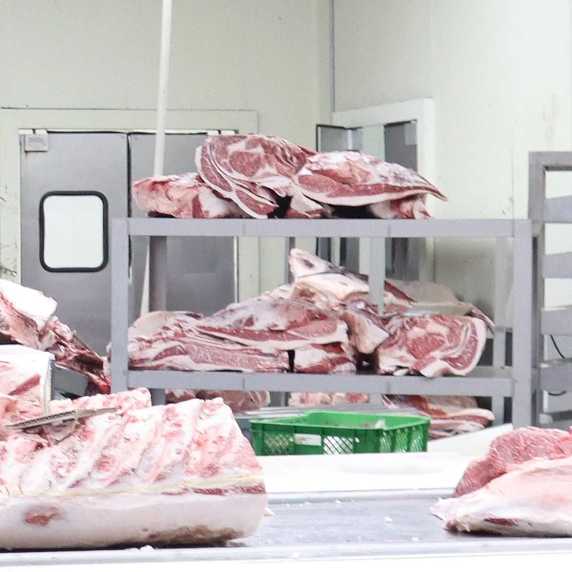 Japanese wagyu frozen beef forequarter exporter red meat for sale