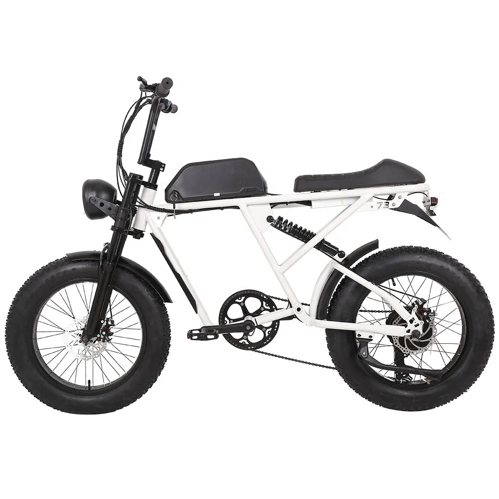 Very Popular Long Range Fat Tire 1000W 48V Lithium Battery Mountain Bike Electric Bicycle Ebike