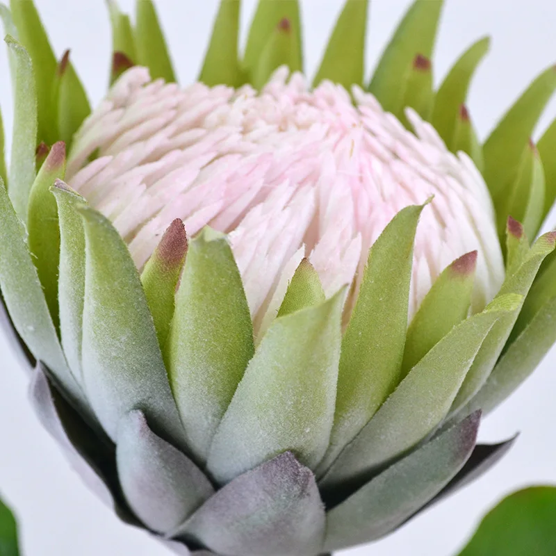 Cynaroides Artificial Silk King Protea Bouquet Wedding and Home Decoration Flowers for Christmas Halloween Easter Occasions