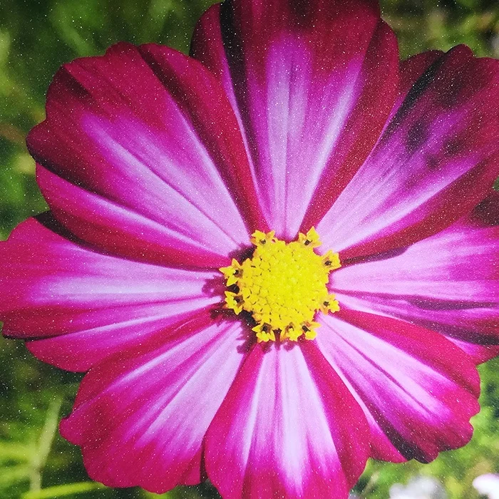 New Product Self Adhesive Glitter Frosted Glass Window Film Smart Decorative Window Film