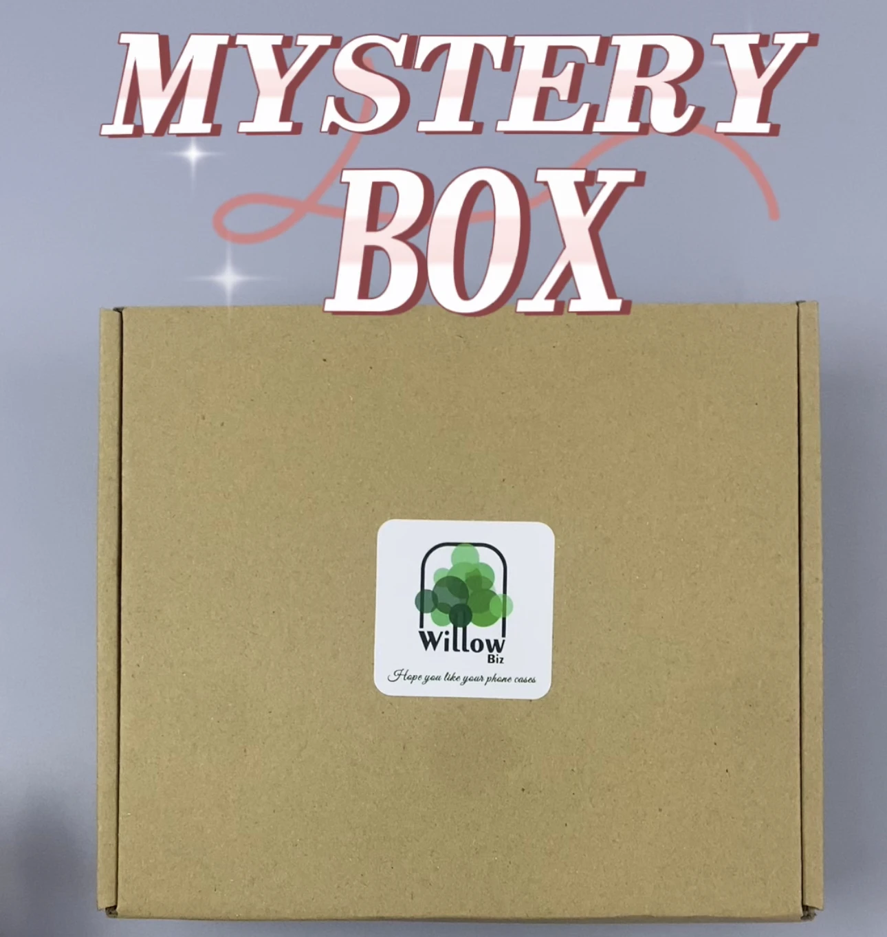 Mystery box 10 designs cases  Lucky box cute cartoon silicone luxury Leather card holder north face for iPhone 11 12 13 14 pro