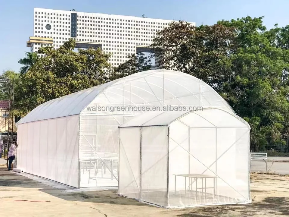 Economic tunnel tomato greenhouse with shading net film green house